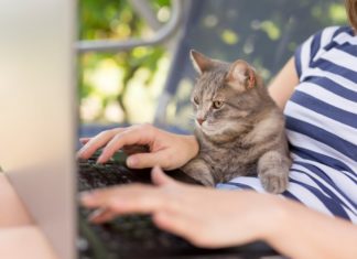 3 nützliche Tipps für produktiveres Arbeiten im Home-Office 3 nützliche Tipps für produktiveres Arbeiten im Home-Office